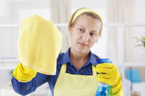 Professional upholstery cleaning in Selhurst for a fresh sofa