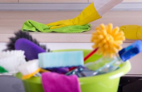 Professional carpet cleaning introduction in Selhurst