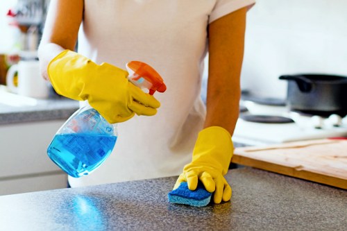 Decorative image representing accessible Selhurst Carpet Cleaners content