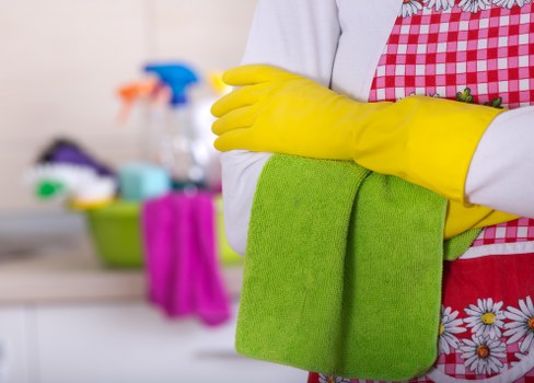 Professional carpet cleaning in progress inside a home or office