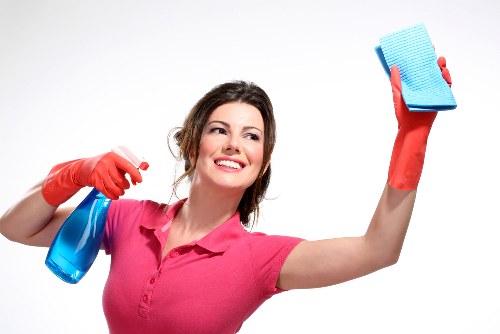 Supplier audit and due diligence process in carpet cleaning operations