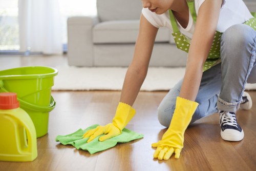 Final safety check after professional carpet cleaning in Selhurst